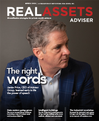 Real Assets Adviser Image