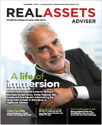 Real Assets Adviser Image